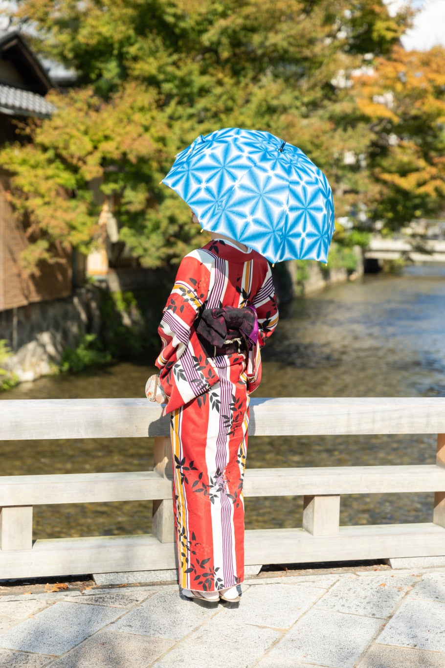 Kadono Bleached Dyeing Co., Ltd. parasol Modern Japanese Parasol Blue Cotton Women JAPAN